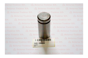 MTZ Egyeneshid bojgókerék csap Belarus